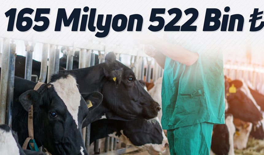 Çiftçilere 165 Milyon Liralık Destek