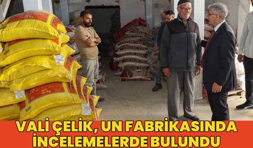 Vali Çelik, Un Fabrikasında İncelemelerde Bulundu