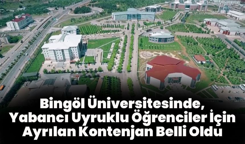 Bingöl Üniversitesinde, Yabancı Uyruklu Öğrenciler İçin Ayrılan Kontenjan Belli Oldu