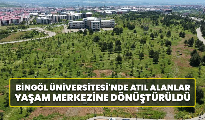 Bingöl Üniversitesi'nde Atıl Alanlar Yaşam Merkezine Dönüştürüldü