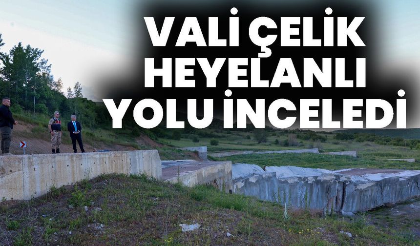 Vali Çelik Heyelanlı Yolu İnceledi