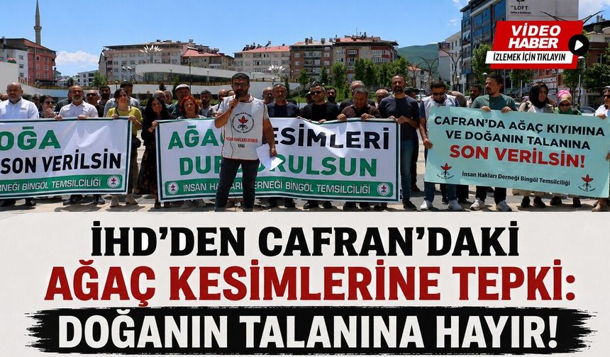 İHD’DEN ORMAN KESİMİNE TEPKİ!