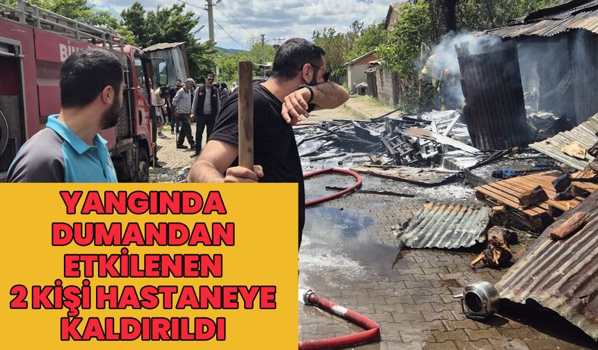Bingöl'de Evde Yangın: 2 Kişi Dumandan Etkilendi