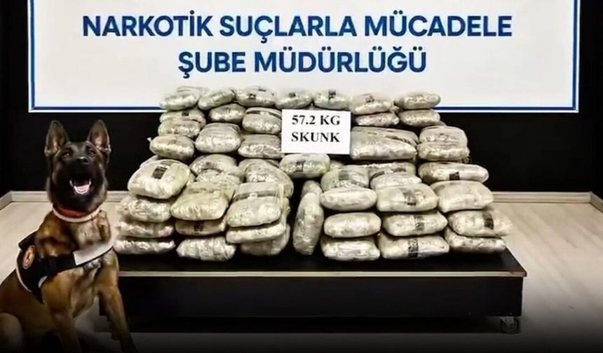 73 İlde Uyuşturucu Operasyonu