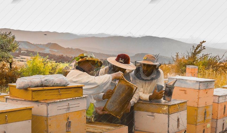 Arıcılıkta Yeni Dönem: Resmi Gazete’de Yayımlandı