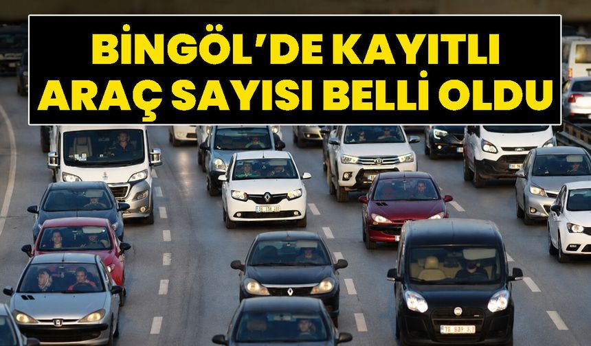 Bingöl’de Kayıtlı Araç Sayısı Belli Oldu