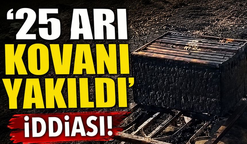 Solhan'da 25 Arı Kovanı Kül Oldu!