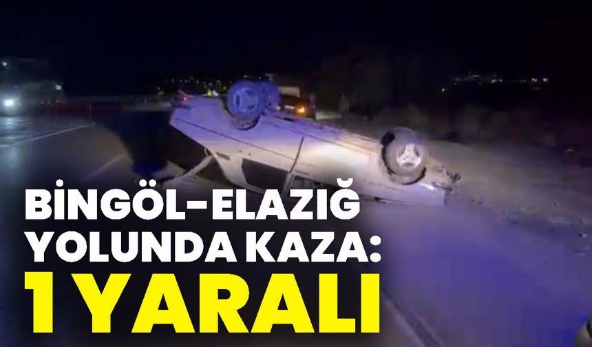 Bingöl-Elazığ Yolunda Kaza: 1 Yaralı