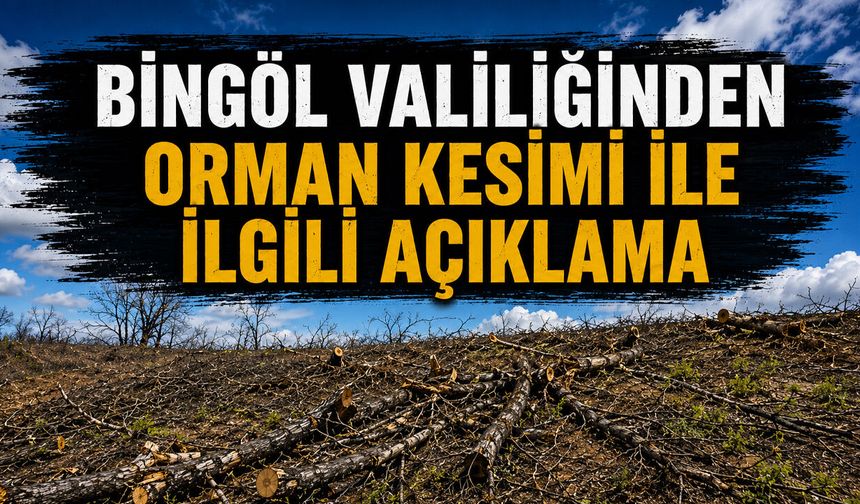 Bingöl Valiliğinden Orman Kesimi İle İlgili Açıklama