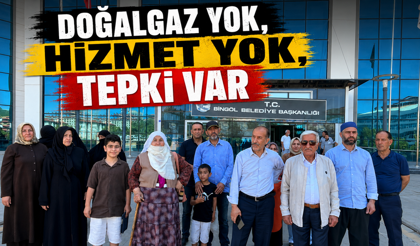 Doğalgaz, Yok Hizmet, Yok Tepki Var