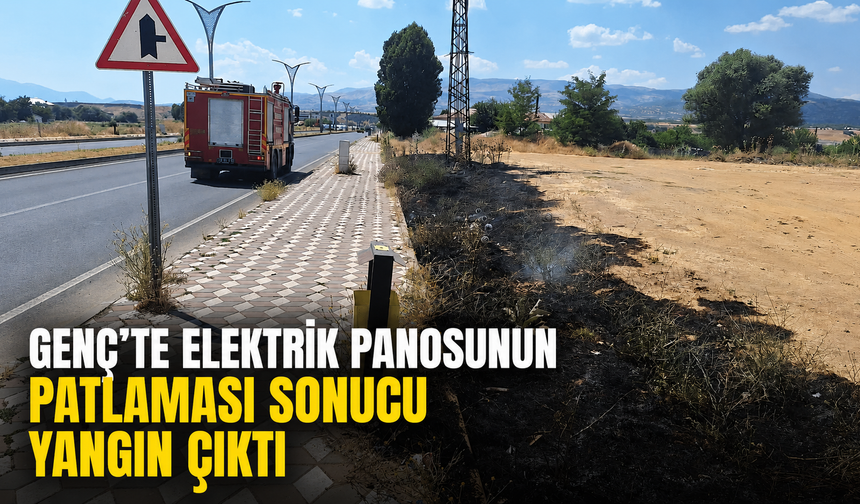 Genç’te Elektrik Panosunun Patlaması Sonucu Yangın Çıktı
