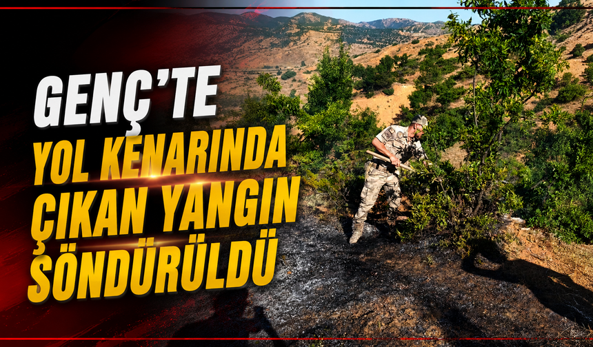 Genç'te Yol Kenarında Çıkan Yangın Söndürüldü