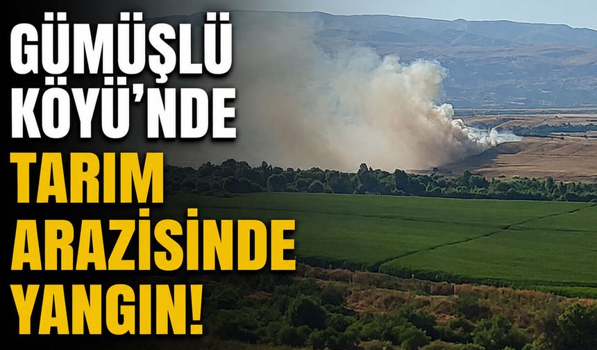 Gümüşlü Köyü'ndeki Yangın Ekiplerin Müdahalesiyle Söndürüldü