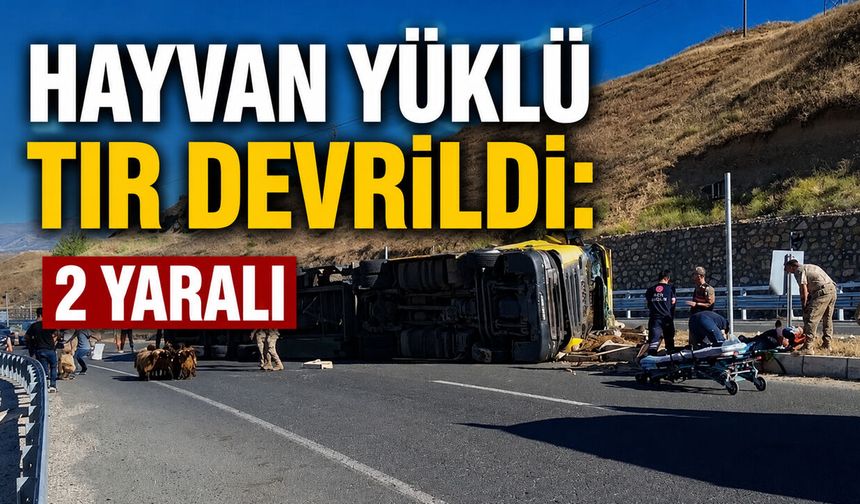 Bingöl-Elazığ Karayolunda Hayvan Yüklü Tır Devrildi: 2 Yaralı