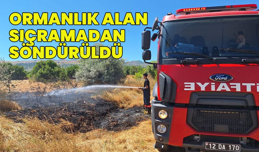 Kılçadır Köyü'nde Örtü Yangını Ormana Sıçramadan Söndürüldü