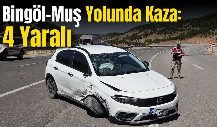 Bingöl-Muş Yolunda Kaza: 4 Yaralı