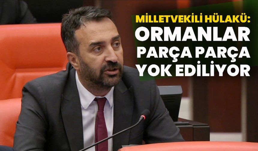 Milletvekili Hülakü: Bingöl’de Ormanlar Parça Parça Yok Ediliyor