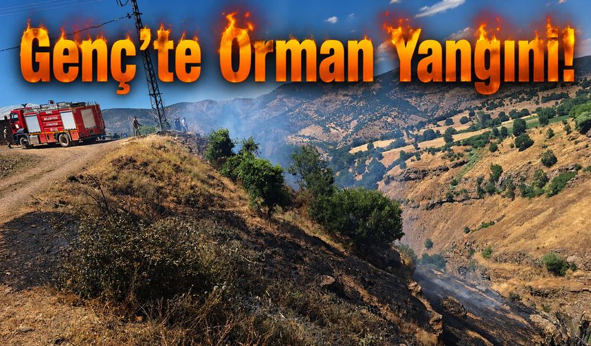 Genç’te Orman Yangını!