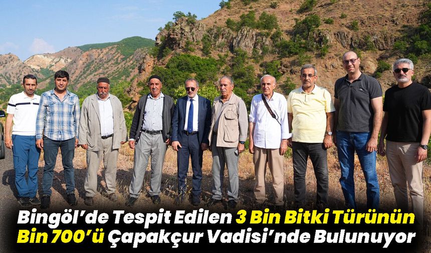 Bingöl’de Tespit Edilen 3 Bin Bitki Türünün Bin 700’ü Çapakçur Vadisi’nde Bulunuyor