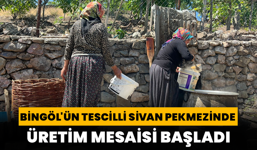 Dut Ağacından Sofraya Uzanan Tescilli Sivan Pekmezinde Mesai Başladı