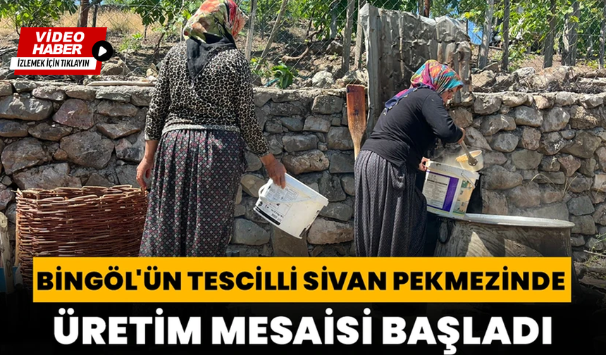 Dut Ağacından Sofraya Uzanan Tescilli Sivan Pekmezinde Mesai Başladı