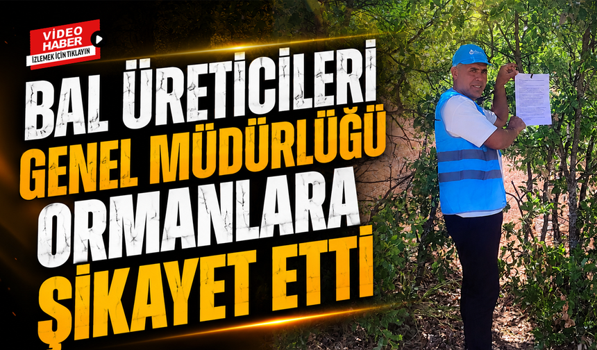 Bal Üreticileri Genel Müdürlüğü Ormanlara Şikayet Etti!