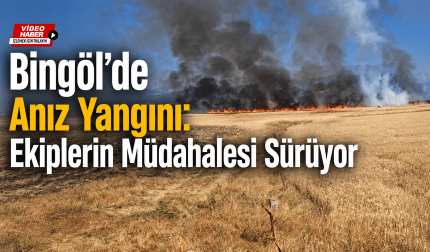 Bingöl’de Anız Yangını!