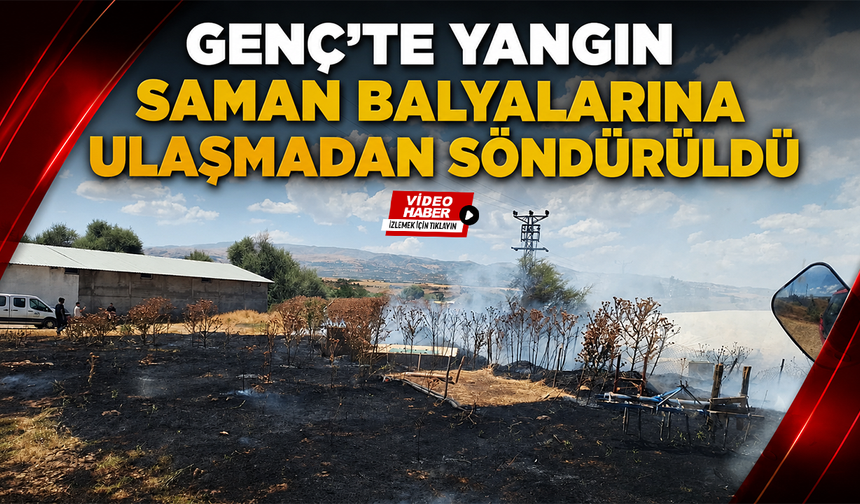 Genç’te Yangın Saman Balyalarına Ulaşmadan Söndürüldü