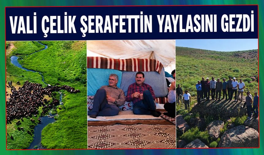 Vali Çelik Şerafettin Yaylasını Gezdi