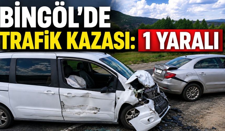 Bingöl'de Trafik Kazası: 1 Yaralı