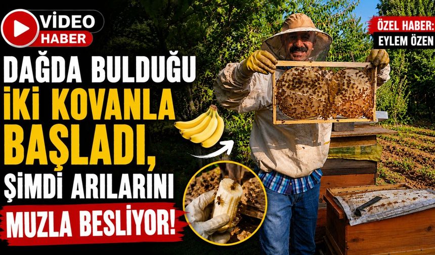 Dağda Bulduğu İki Kovanla Başladı, Şimdi Arılarını Muzla Besliyor!