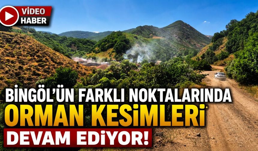 Bingöl'ün Farklı Noktalarında Orman Kesimleri Devam Ediyor!