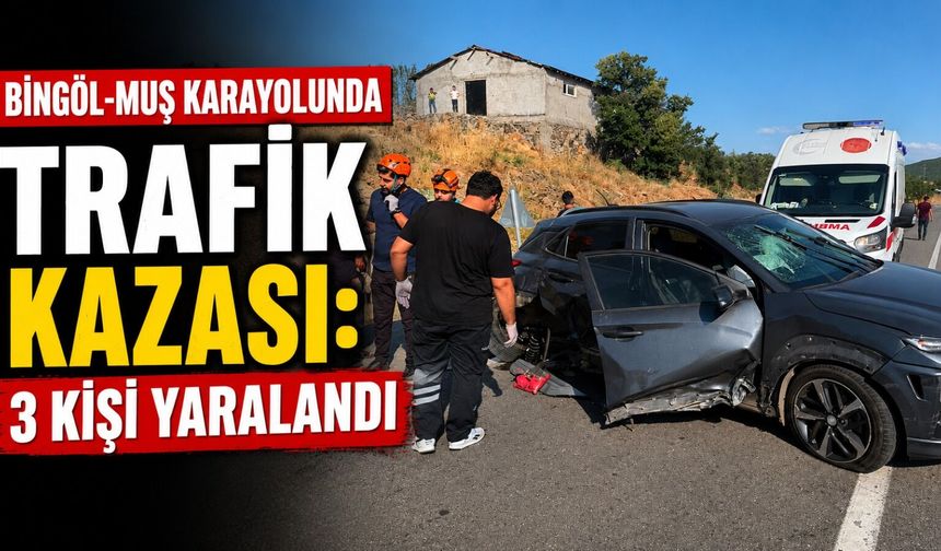 Bingöl-Muş Karayolunda Trafik Kazası: 3 Kişi Yaralandı