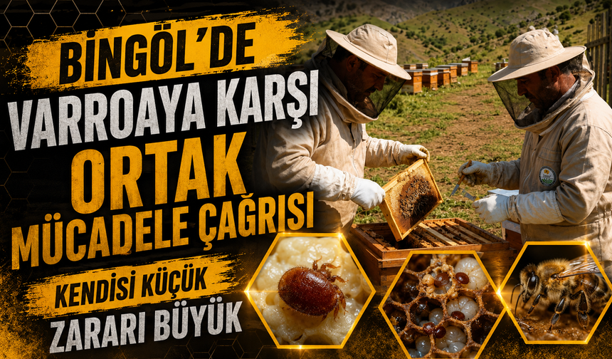 Bingöl'de Varroaya Karşı Ortak Mücadele Çağrısı