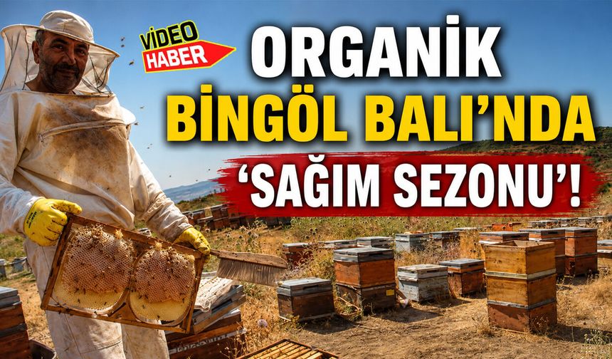 Bingöl Balı’nda ‘Sağım Sezonu’ Başladı!