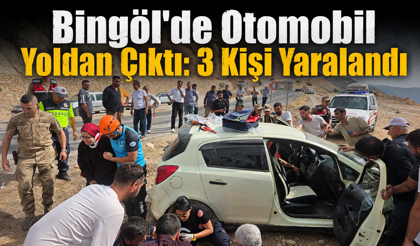 Bingöl'de Otomobil Yoldan Çıktı: 3 Kişi Yaralandı