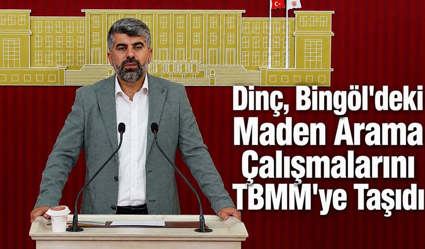 Dinç, Bingöl'deki Maden Arama Çalışmalarını TBMM’ye Taşıdı