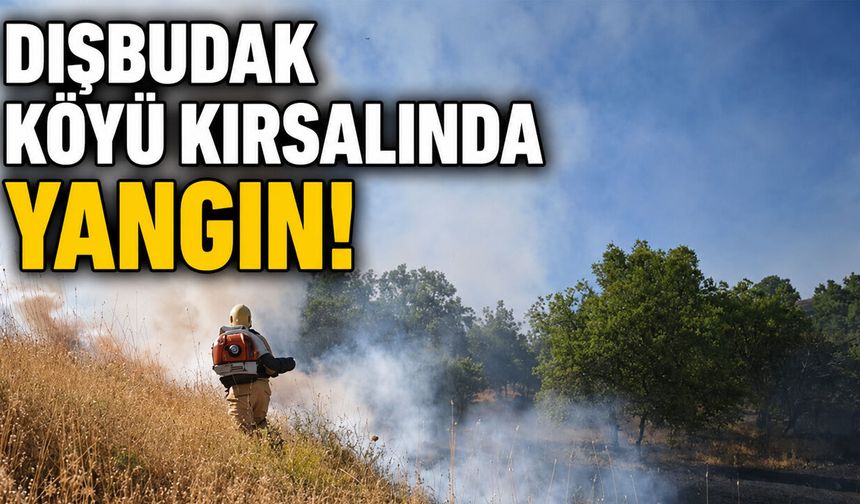 Bingöl'de Korkutan Örtü Yangını!