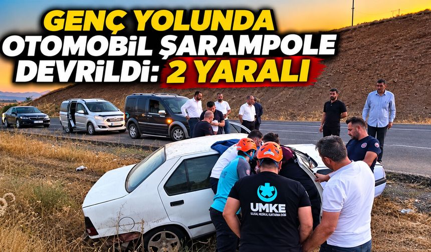 Bingöl-Genç Yolunda Otomobil Şarampole Devrildi: 2 Yaralı