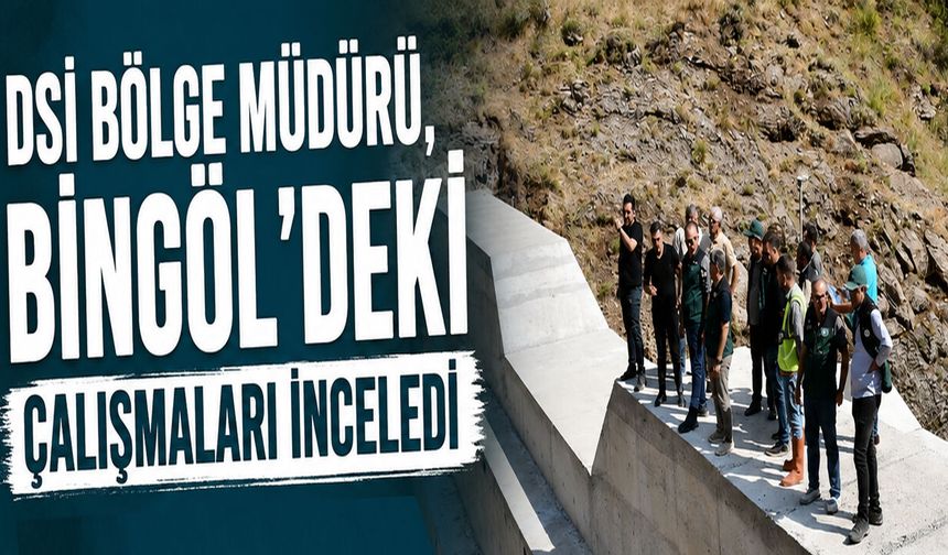 DSİ Bölge Müdürü, Bingöl'deki Çalışmaları İnceledi