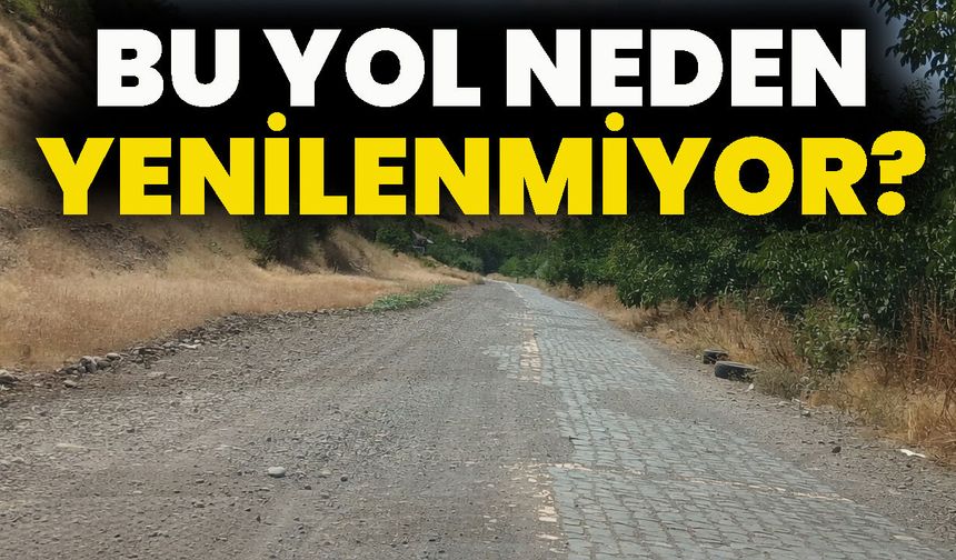 Bu yol neden yenilenmiyor?