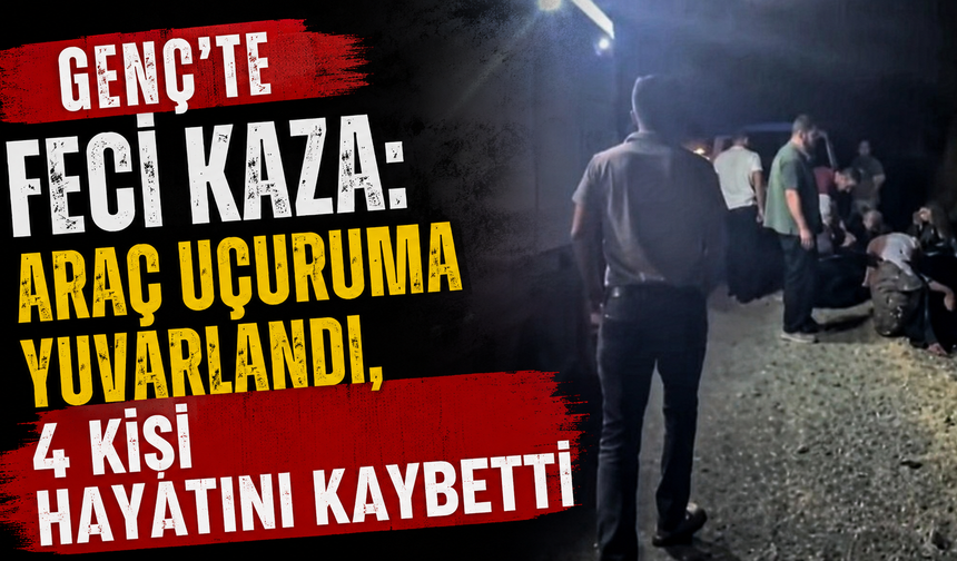 Genç’te Feci Kaza: Araç Uçuruma Yuvarlandı, 4 Kişi Hayatını Kaybetti