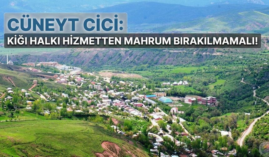 Cüneyt Cici:  Kiğı Halkı Hizmetten Mahrum Bırakılmamalı!