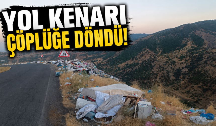 Bingöl’de Köy Yolu Çöplüğe Döndü!