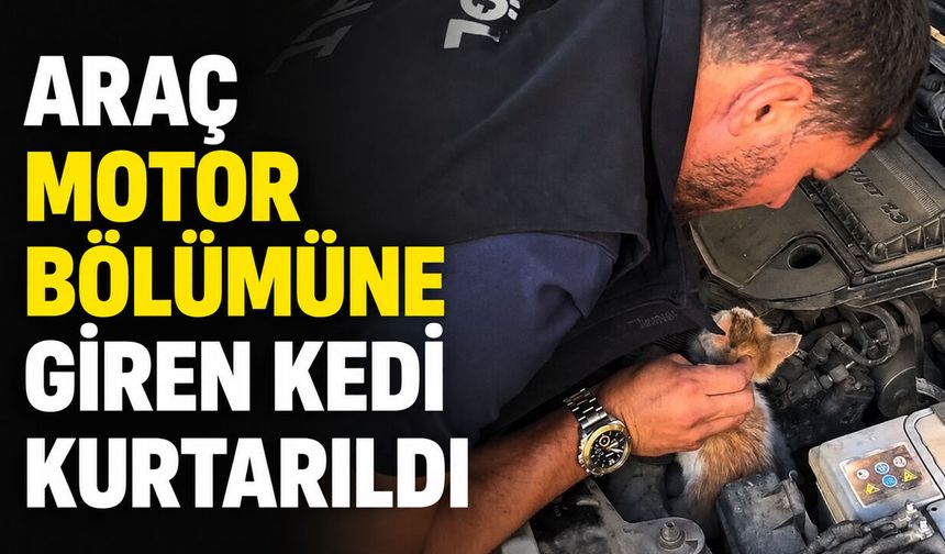 Araç Motor Bölümüne Sıkışan Kedi Kurtarıldı