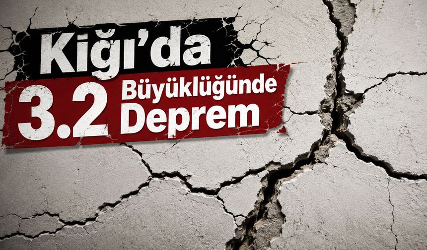 Kiğı’da 3.2 Büyüklüğünde Deprem