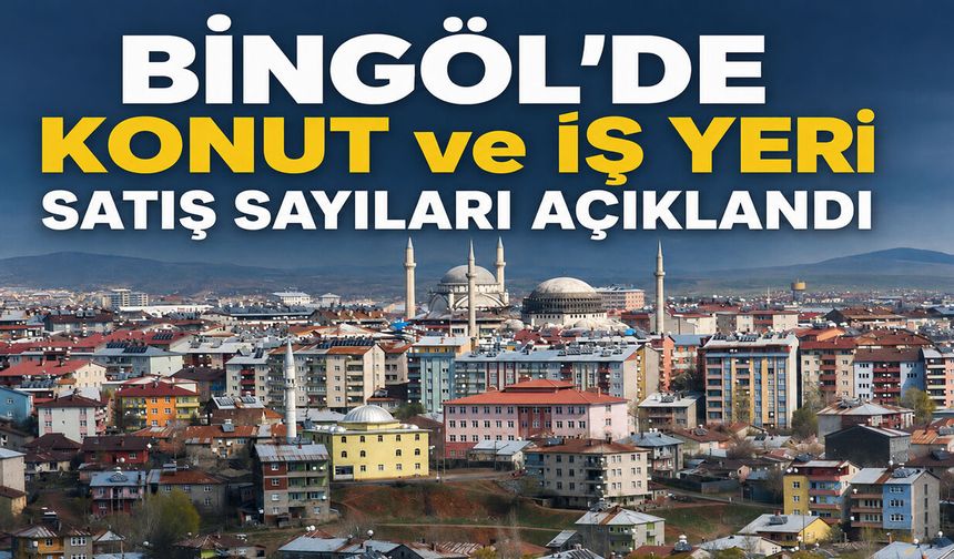 Bingöl’de Konut ve İş Yeri Satış Sayıları Açıklandı