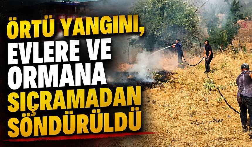 Bingöl'de Korkutan Örtü Yangını!