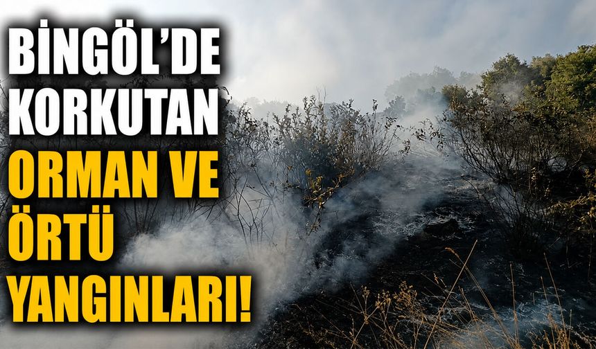 Bingöl'de Korkutan Orman ve Örtü Yangınları!