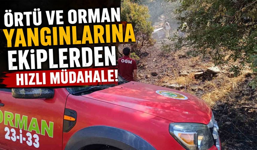 Bingöl'de Korkutan Örtü ve Orman Yangınları